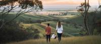 Picnic with a view in the Spring Gully Conservation Park