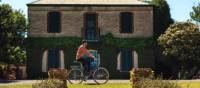 Riding bikes in the Clare Valley, South Australia