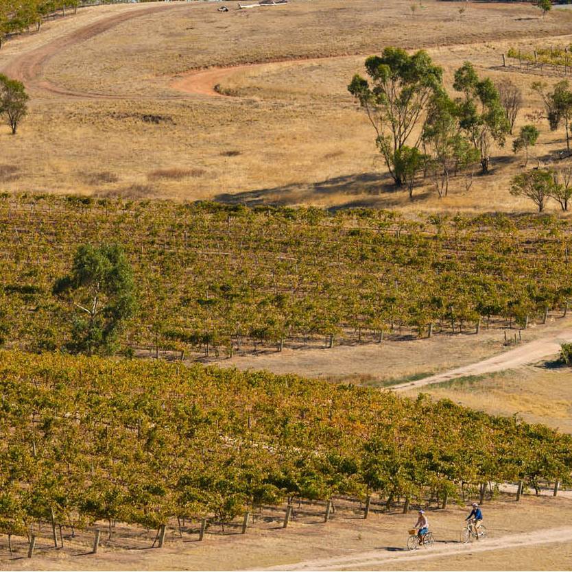 Riding the Riesling Trail in South Australia