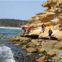 Explore the beautiful Painted Cliffs on Tasmania's Maria Island | Toni Wythes