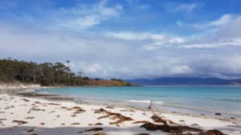 Enjoy a walk along Maria Island's Four Mile Beach | Shelby Pinkerton