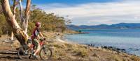 Cycling on Maria Island | Andrew Bain