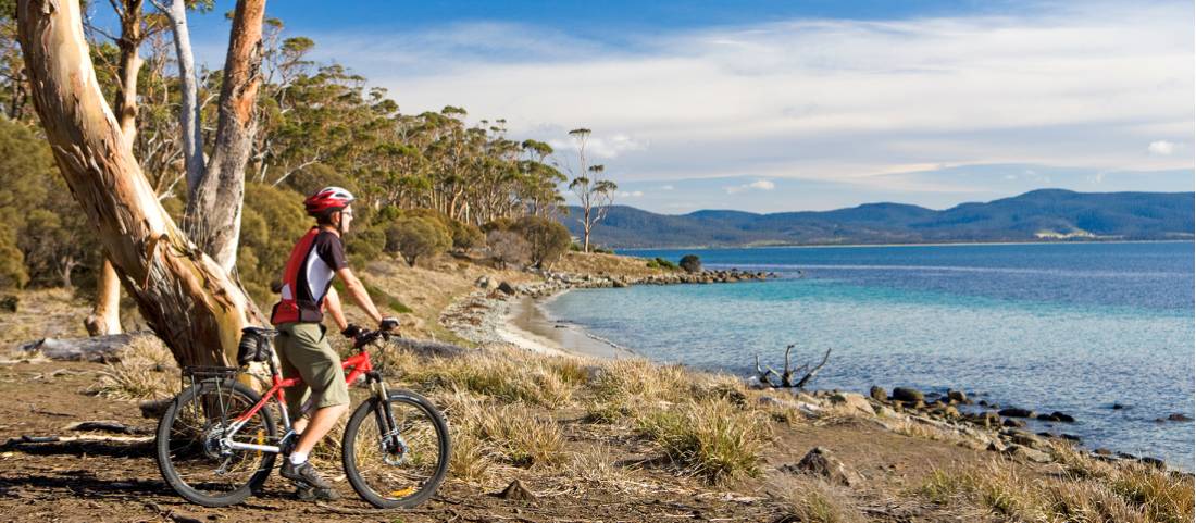 Cycling on Maria Island |  <i>Andrew Bain</i>