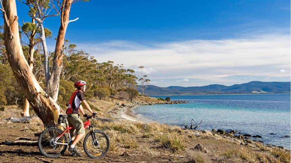 Cycling on Maria Island |  <i>Andrew Bain</i>