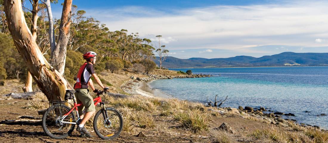 Cycling on Maria Island |  <i>Andrew Bain</i>