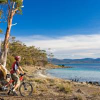 Cycling on Maria Island | Andrew Bain