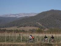 Cycling the Rail Trails near Victoria's alpine regions |  <i>Peter Dunphy</i>