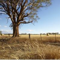 Cycle past classic Victorian high country landscapes near Rutherglen | Ewen Bell