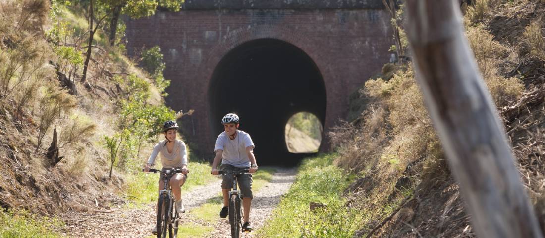The historic Cheviot Tunnel is a key feature of the Tallarook to Mansfield Rail Line |  <i>Robert Blackburn</i>