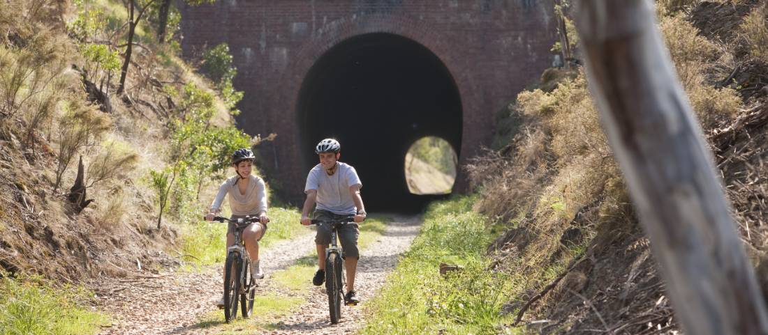 The historic Cheviot Tunnel is a key feature of the Tallarook to Mansfield Rail Line |  <i>Robert Blackburn</i>