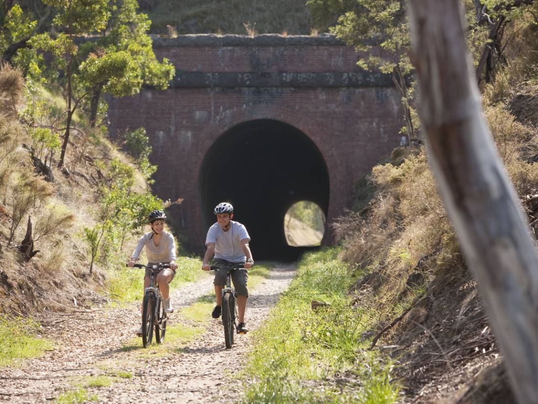 The historic Cheviot Tunnel is a key feature of the Tallarook to Mansfield Rail Line |  <i>Robert Blackburn</i>