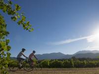 Cyclists on the Great Victorian Rail Trail |  <i>Mark Watson</i>