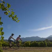 Cyclists on the Great Victorian Rail Trail | Mark Watson