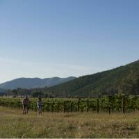 Cycle the Great Victorian Rail Trail on a self guided tour | Mark Watson