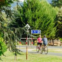 Cyclists near Bright