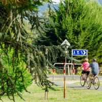 Cyclists near Bright