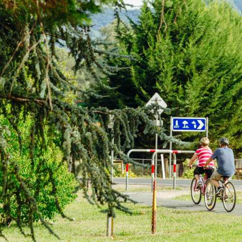 Murray To The Mountains Rail Trail Downhill Cycle Tour