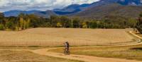 Cycling the Murray to Mountains Rail Trail near Bright