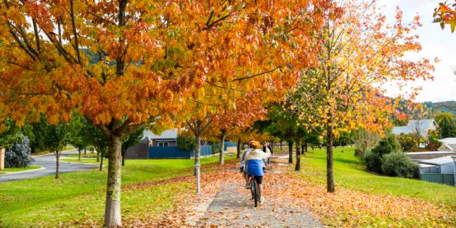 Autumn is a colourful time to cycle the Rail Trail near Bright