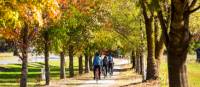 Cycling towards Feathertop Wines near Bright | Josie Withers