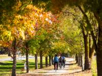 Cycling towards Feathertop Wines near Bright |  <i>Josie Withers</i>