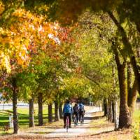 Cycling towards Feathertop Wines near Bright | Josie Withers