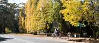 Pedal towards fine produce in rural Victoria | Emily Godfrey