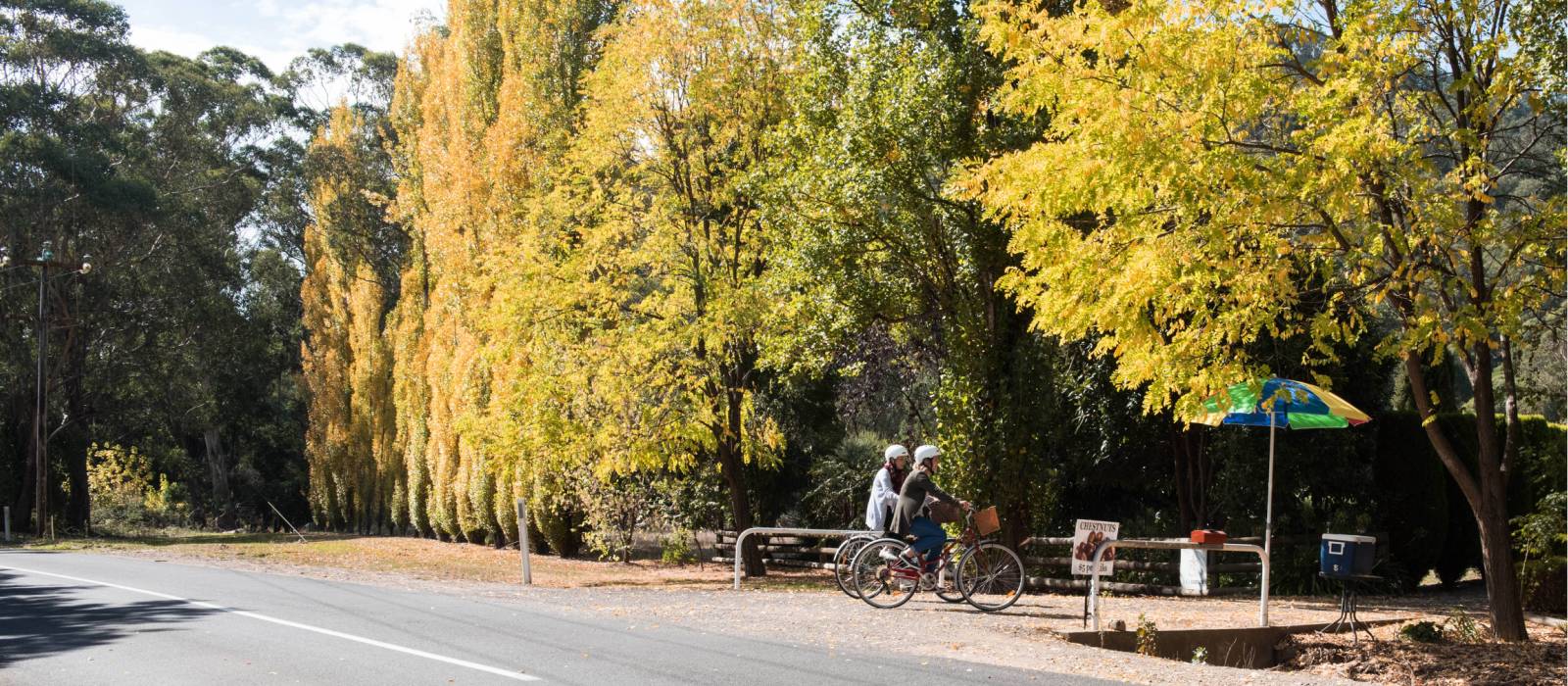 Pedal towards fine produce in rural Victoria | Emily Godfrey