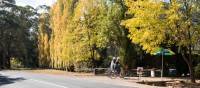 Pedal towards fine produce in rural Victoria | Emily Godfrey