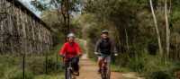 Enjoy cycling in Gippsland & the Snowy River National Park