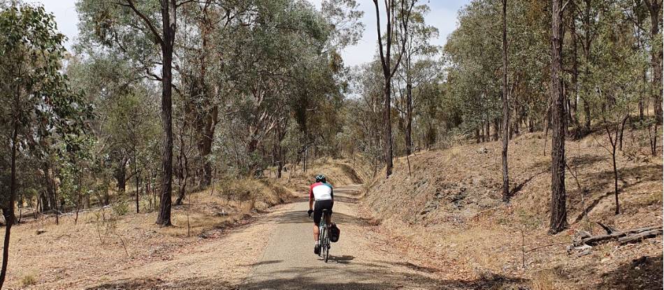 A cyclist on the Murray to the Mountains bike path |  <i>Bruce Baker</i>