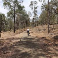A cyclist on the Murray to the Mountains bike path | Bruce Baker
