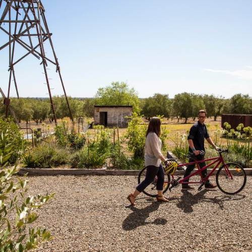 Bike break at Wicked Virgin and Calico Town Wines in Rutherglen