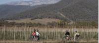 Cycling Victoria's alpine bike paths |  <i>Ride High Country</i>