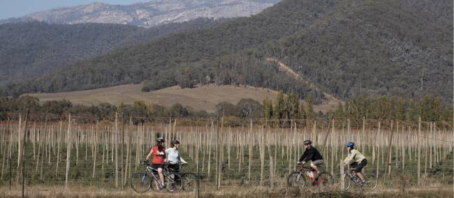 Cycling Victoria's alpine bike paths |  <i>Ride High Country</i>