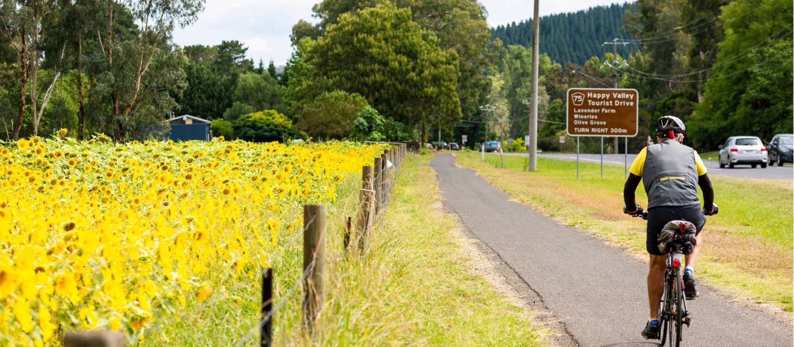 Cycling along bike-friendly paths in Victoria's High Country | Ride High Country