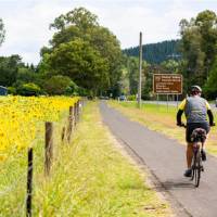 Cycling along bike-friendly paths in Victoria's High Country | Ride High Country