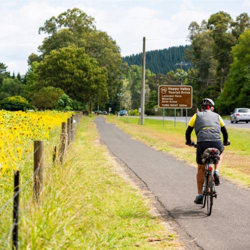 Cycling along bike-friendly paths in Victoria's High Country