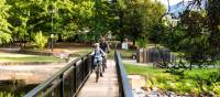 Cycling over the Ovens River bridge near Bright | Ride High Country