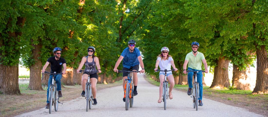 Cycling the leafy bike paths of Victoria |  <i>Ride High Country</i>