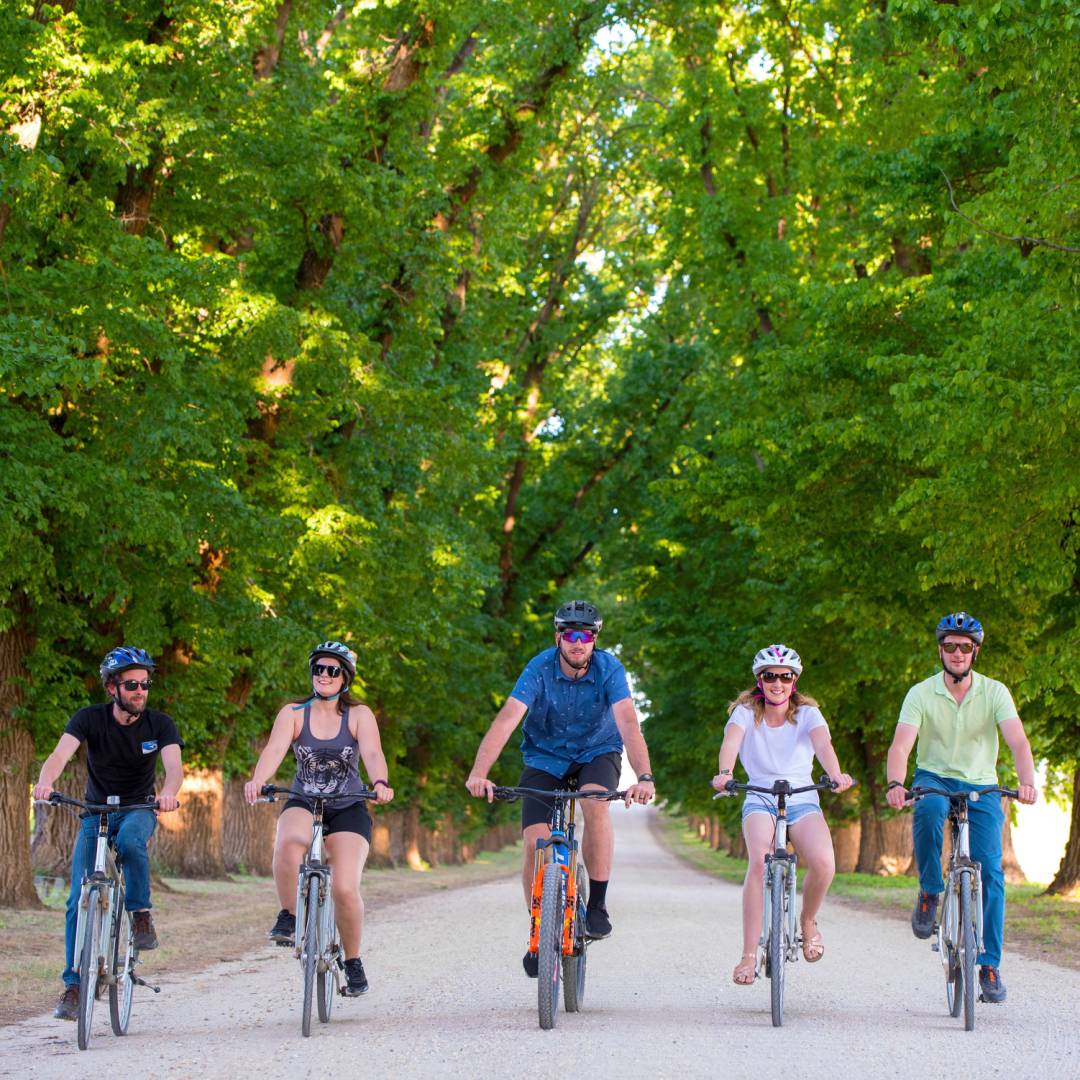 Cycling the leafy bike paths of Victoria | Ride High Country