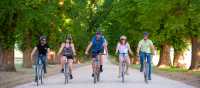 Cycling the leafy bike paths of Victoria | Ride High Country