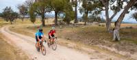 Cycling through Beechworth on the Murray to Mountains Rail Trail | Ride High Country