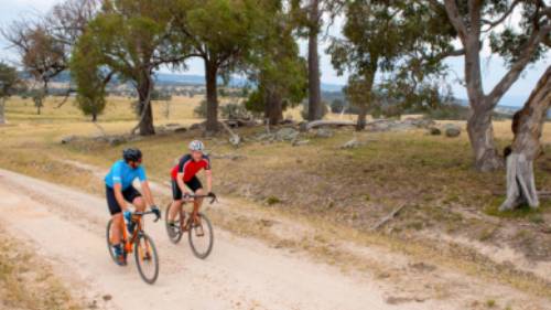 Cycling through Beechworth on the Murray to Mountains Rail Trail | Ride High Country