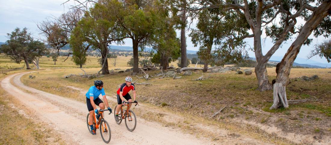 Cycling through Beechworth on the Murray to Mountains Rail Trail |  <i>Ride High Country</i>