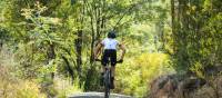 Discovering Australian nature in regional Victoria | Ride High Country