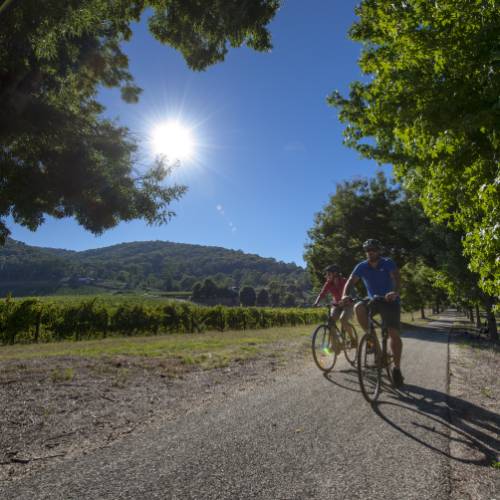 Enjoying a sunny day while cycling the Murray to Mountains Rail Trail