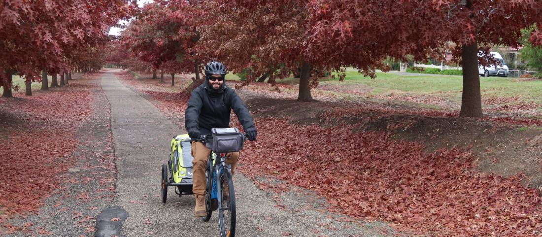 Cycle through tree-lined paths on the Murray to Mountains Rail Trail |  <i>Erin Williams</i>
