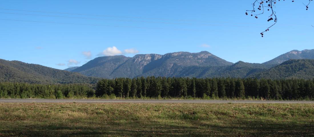 Cycle in alpine Victoria on the Murray to Mountains Rail Trail |  <i>Erin Williams</i>