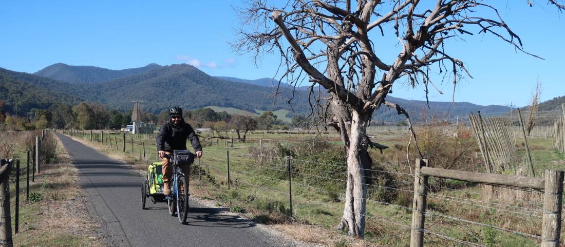 Cycling via farmland on the Murray to Mountains Rail Trail |  <i>Erin Williams</i>